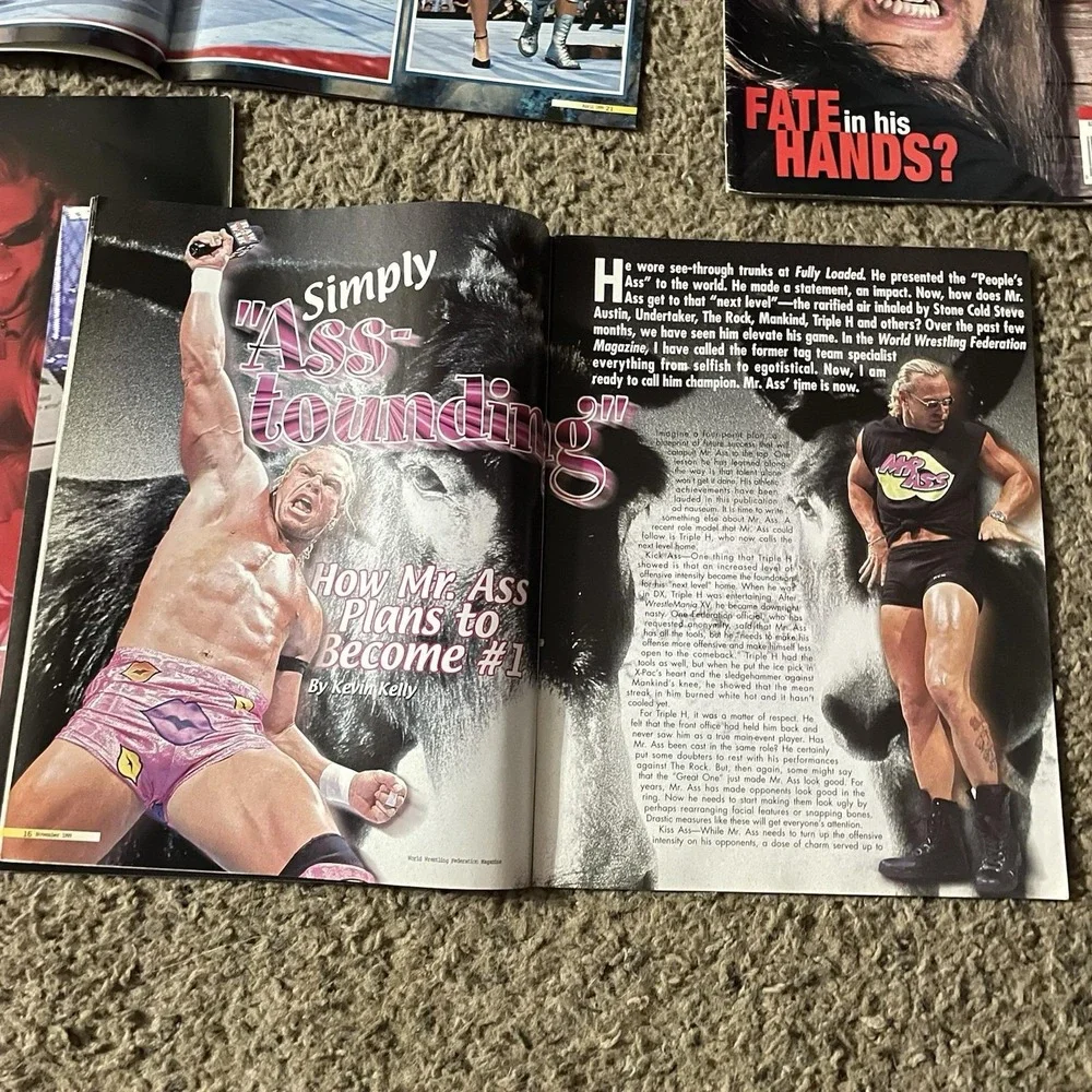Vintage 1999 WWF Magazine Lot 5 Triple H Rock Edge Christian Mr Ass Wrestling